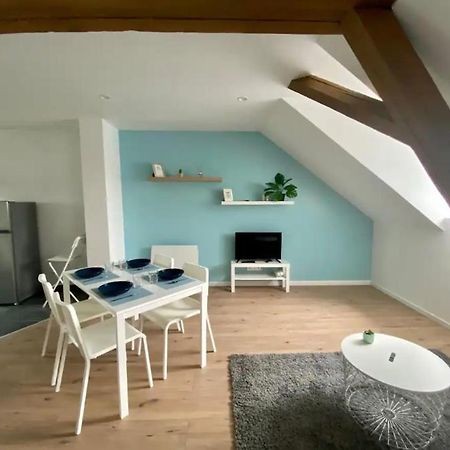 Studio Cosy Comme A La Maison Mulhouse Kültér fotó