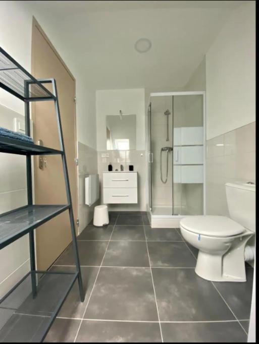 Studio Cosy Comme A La Maison Mulhouse Kültér fotó